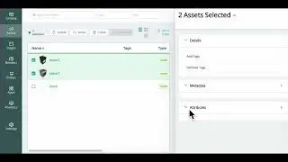 Asset Management