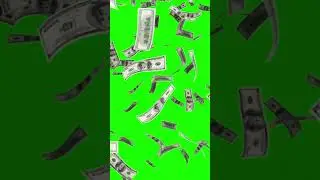 Dollars currency falling - Green screen currency 