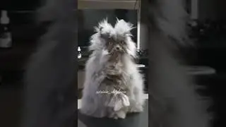 Улыбнемся!😉