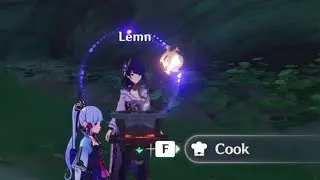 How to troll Raiden Shogun players In Genshin Impact Co-op