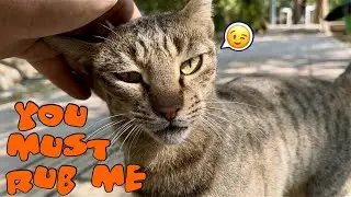 She like to order me to rubbing her, she always is demanding rubbing constantly