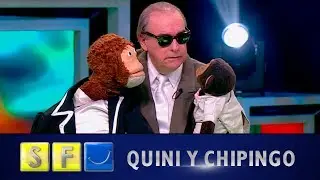 ¿Por quó si a los niños los trae una cigüeña de Francia no hablan francós? - Sábados Felices