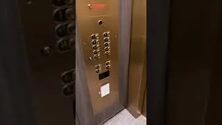 Graeginator Rides The Elevator at Macy’s in Downtown Chicago