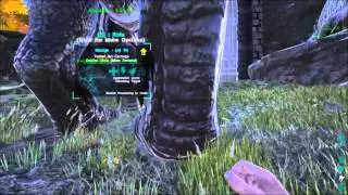 My Edited Video