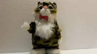Котик. Игрушка - повторюшка