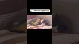 Мативация