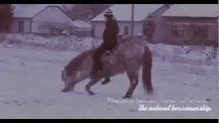 The natural horsemanship.