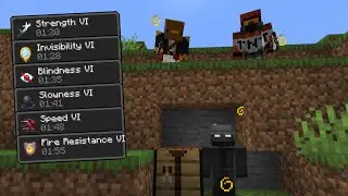 Minecraft Manhunt, But There's RANDOM EFFECTS...