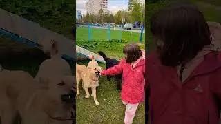 Приезжайте в @izpriuta_ с детьми! Это кайф и для детей, и для собак #приютдлясобак #добро #собака