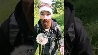 Больше о Вселенной САС в ТГ: SAS Universe  