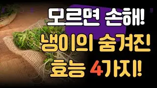 모르면 손해! 냉이의 숨겨진 효능 4가지!