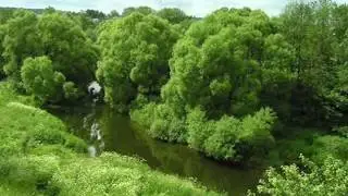 ЛЕТО ВСЕГДА   исп  Дискотека Авария