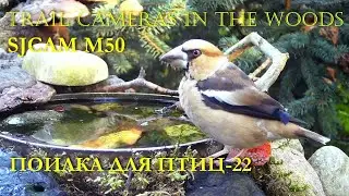 ПОИЛКА ДЛЯ ПТИЦ -22