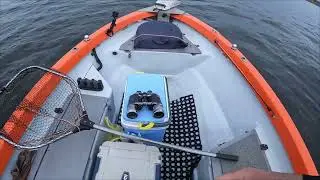 Судак-дроп шот.
