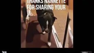 Thanks Nannette for sending in your Video   Max after a month on The Gift For Life
