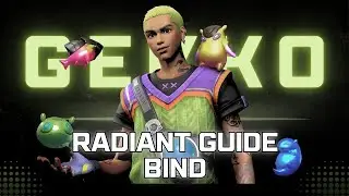 Radiant Beginner Guide | Gekko on Bind!