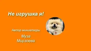 Не игрушка я!