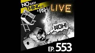 553: No Such Thing As A Shooting Star