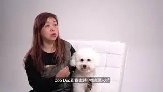 【真實個案分享：DooDoo – 毛孩健康】
