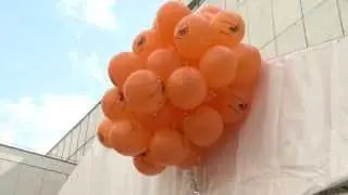 Утренник «Бродяга, Маг и Королева пряностей»