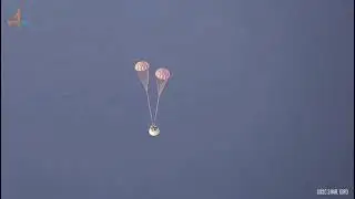 The 