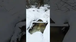 Весна