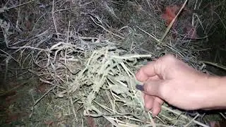 ЧЕМ и КАК 🍀🌿☘заменить @ ОТСУТСТВИЕ ПАСТБИЩА ДЛЯ КУР В ЗИМНИЙ ПЕРИОД
