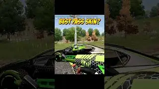 🤩BEST PASS SKIN?