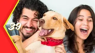 ADOTAMOS UM LABRADOR (DOIDA E LINDA)
