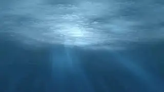 Sonido del Fondo del Mar - Sound of the Seabed