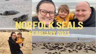 Visiting The Uk Seals *Norfolk Edition*