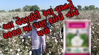 ધનલક્ષ્મી એડવાન્સ વિષે ખેડૂતોના શબ્દોમાં અનુભવો