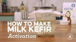How to Activate Milk Kefir Grains | Cultures for Health