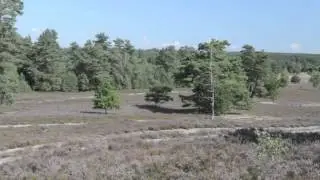 Rote-Flächen-Feldherrenhügel