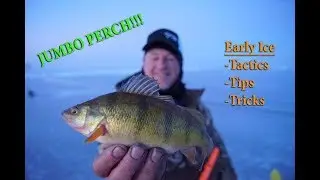 Early Ice JUMBO PERCH!!! / Lake Winnebago