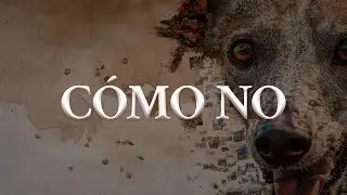 Jesse & Joy - CÓMO NO (Letra oficial / Official lyrics)