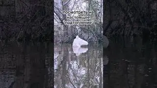 Оренбургские флешбеки 🫢