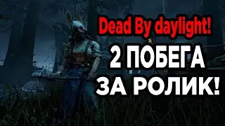 Dead By daylight (побега за 1 выпуск)