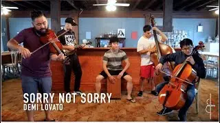 SORRY NOT SORRY | Demi Lovato || JHMJams Cover No.152