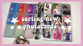 sorting new kpop photocards ☆
