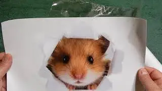 3D наклейки на стену