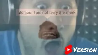 SharkBite of 87 (shorts)
