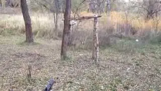 Ребёнок снайпер