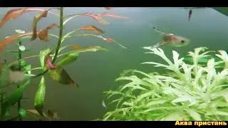 Может, все дело в фильтре?