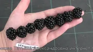 КЭДДО  и ДЖАМБО очень сладкие сорта ежевики