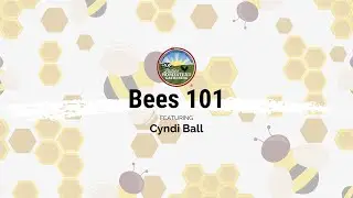 Bees 101: November 2022 National Virtual Gathering