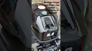 Лодочный мотор Fregat (Фрегат) 9.9 (15) л.с. Предпродажная подготовка. Первый запуск
