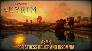 Serenity in the Tundra of Skyrim | ASMR | Relaxation | Sleep