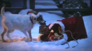 Самое няшное видео!!!! До слёз!!! Смотреть всем!!! Милее не бывает!! Заслуживает лайка!!!