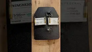 XM193 VS M855 Green Tip 5.56 NATO: Penetration Test!
